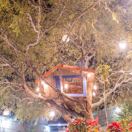 Hotel Casa Del Arbol Bernal Zewnętrze zdjęcie