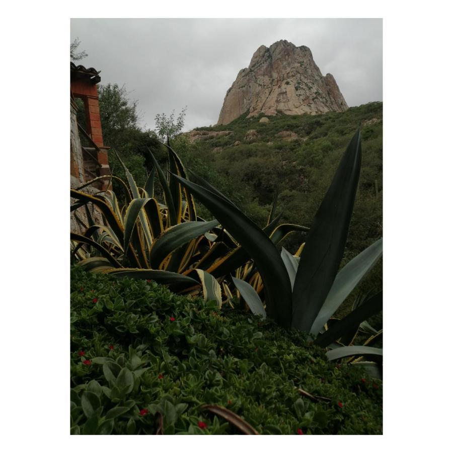 Hotel Casa Del Arbol Bernal Zewnętrze zdjęcie