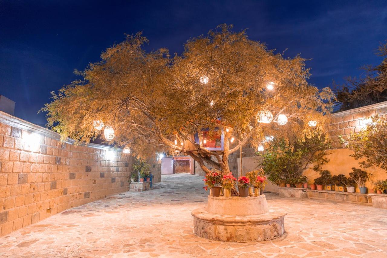 Hotel Casa Del Arbol Bernal Zewnętrze zdjęcie