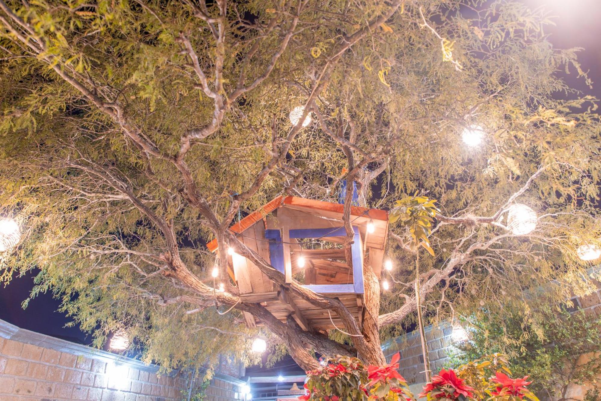 Hotel Casa Del Arbol Bernal Zewnętrze zdjęcie