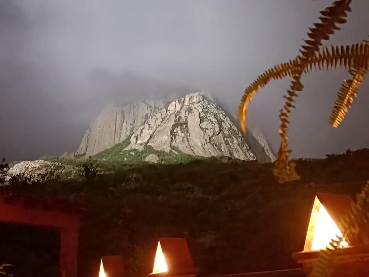 Hotel Casa Del Arbol Bernal Zewnętrze zdjęcie